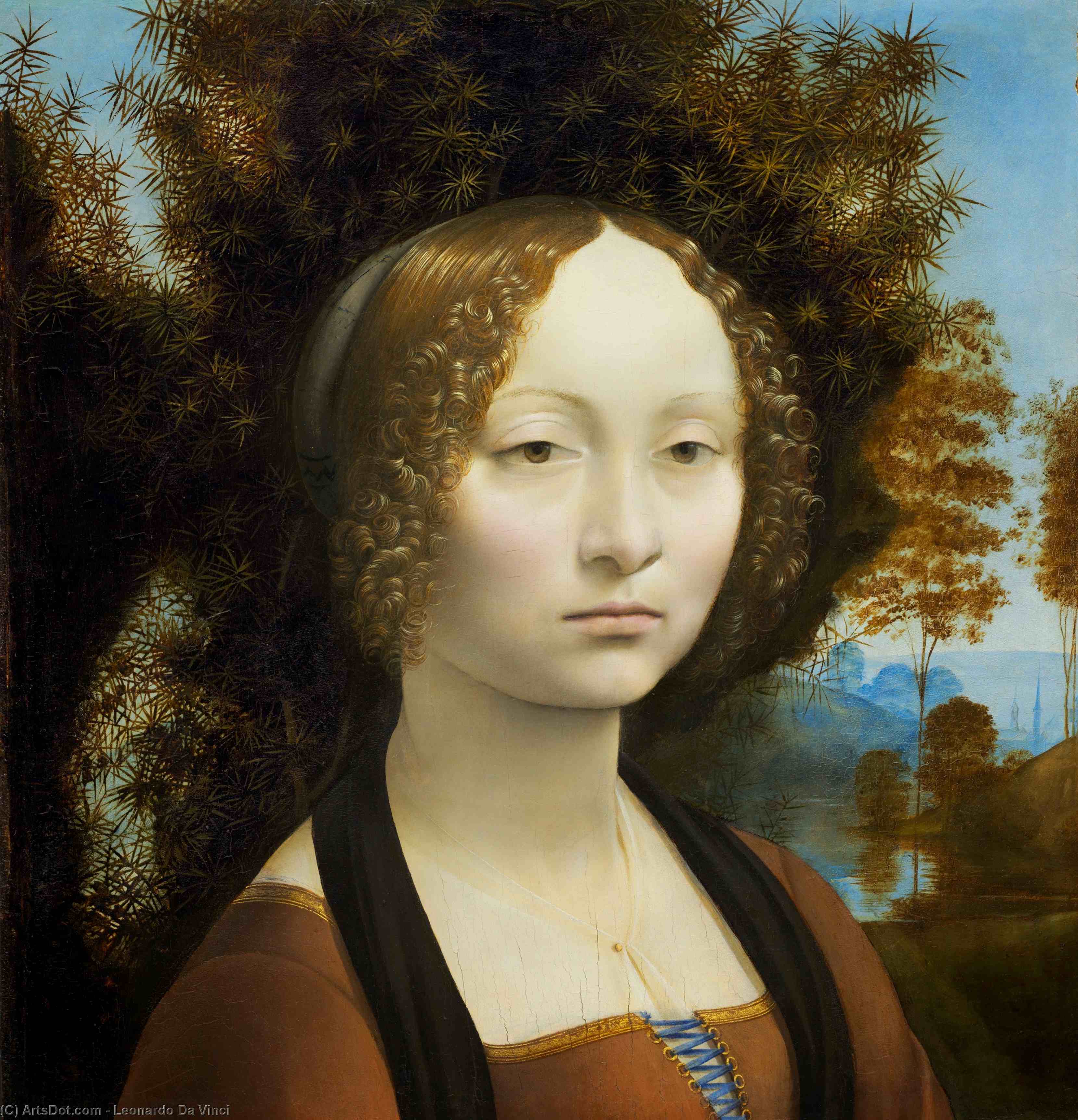Wikioo.org - The Encyclopedia of Fine Arts - Painting, Artwork by Leonardo Da Vinci - Portrait of Ginevra Benci