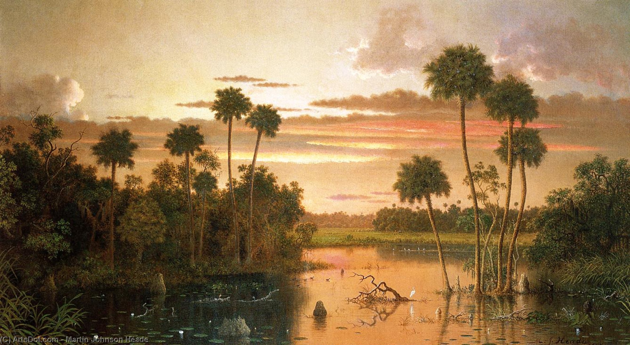 Wikioo.org - The Encyclopedia of Fine Arts - Painting, Artwork by Martin Johnson Heade - The Great Florida Sunset