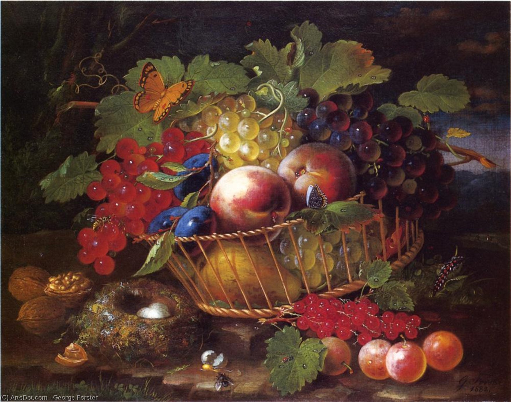 Wikioo.org - The Encyclopedia of Fine Arts - Painting, Artwork by George Forster - Still Life with Fruit, Butterflies and Bird's Nest