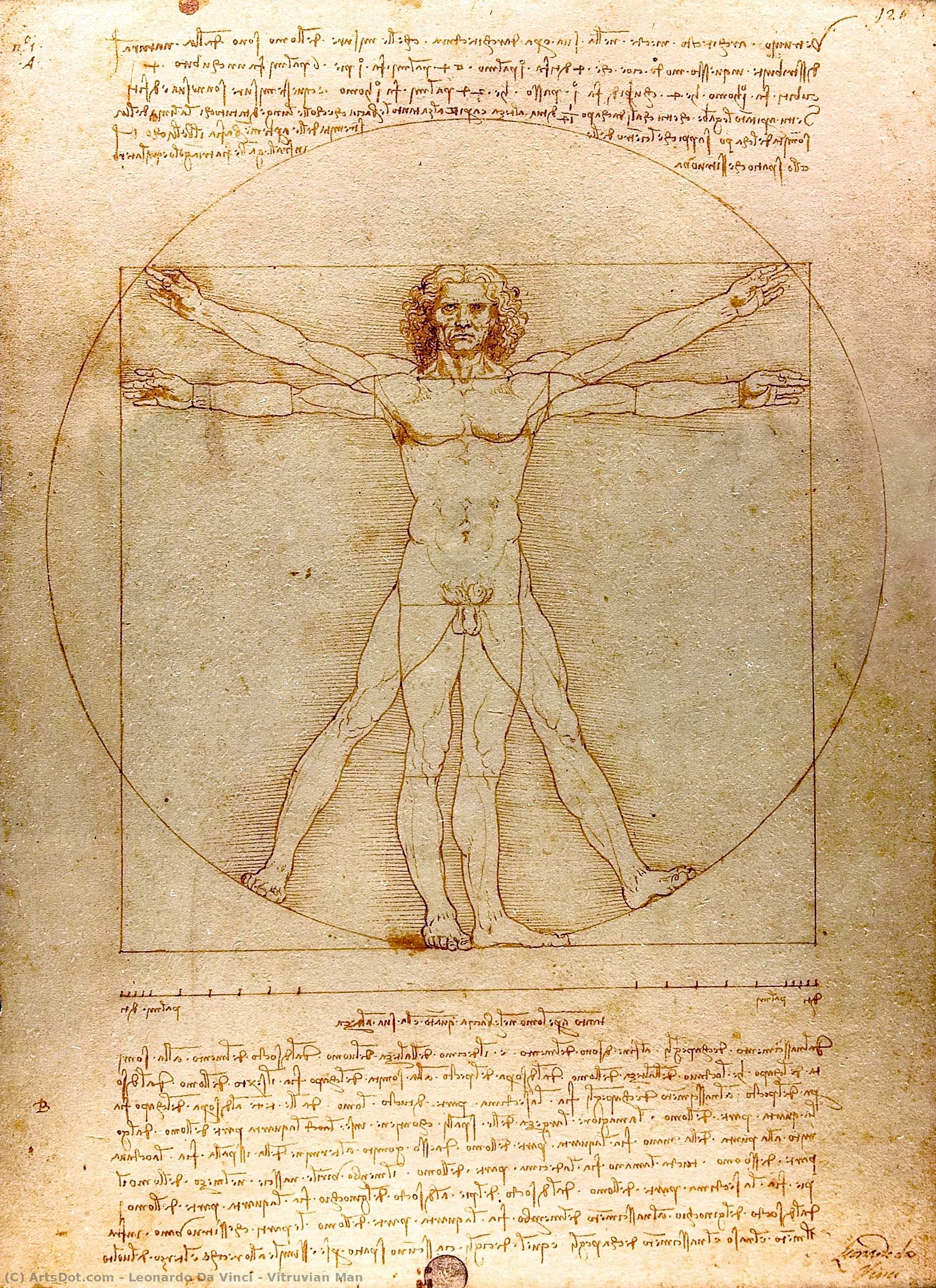 Wikoo.org - موسوعة الفنون الجميلة - اللوحة، العمل الفني Leonardo Da Vinci - Vitruvian Man