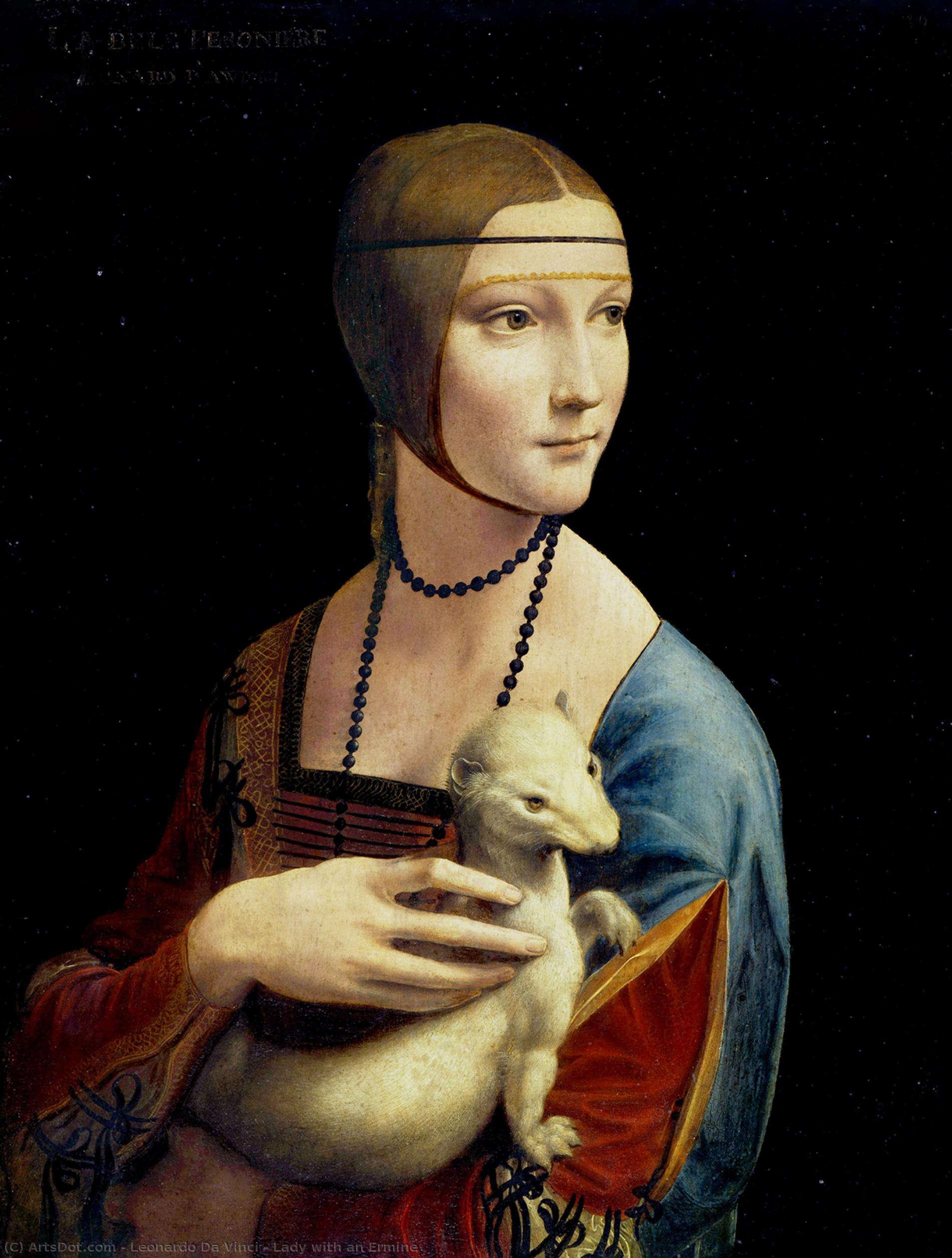 Wikioo.org - The Encyclopedia of Fine Arts - Painting, Artwork by Leonardo Da Vinci - Lady with an Ermine