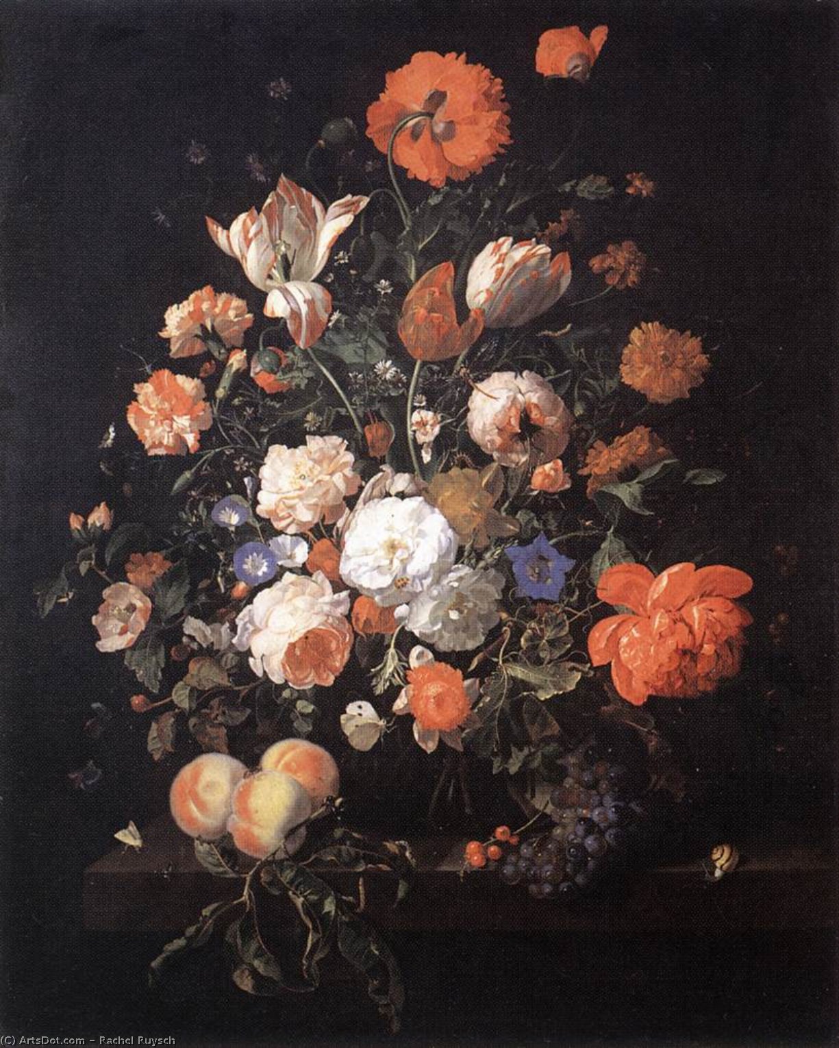 Wikioo.org - The Encyclopedia of Fine Arts - Painting, Artwork by Rachel Ruysch - A Vase of Flowers