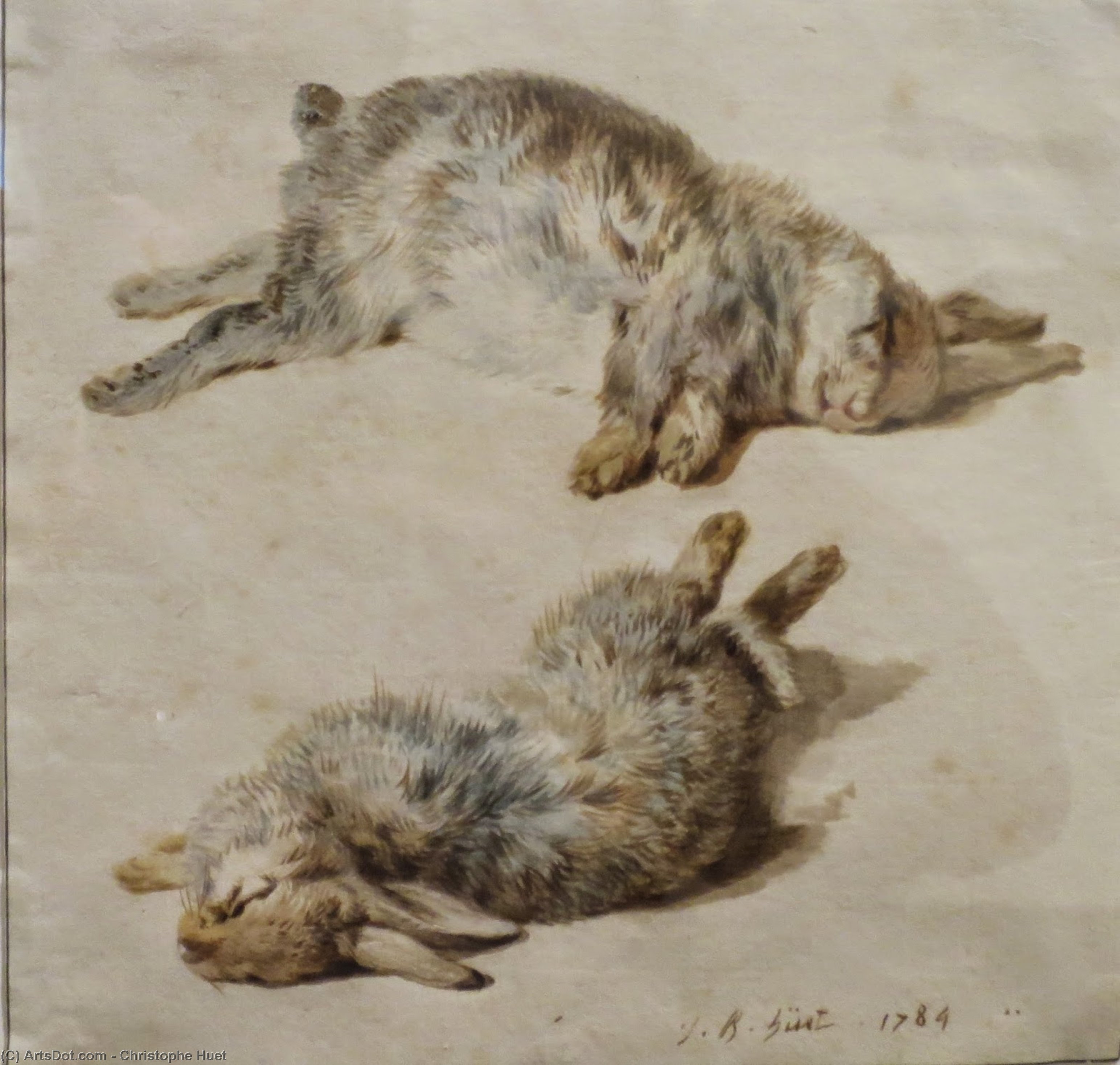 Wikioo.org - The Encyclopedia of Fine Arts - Painting, Artwork by Christophe Huet - Two rabbits asleep