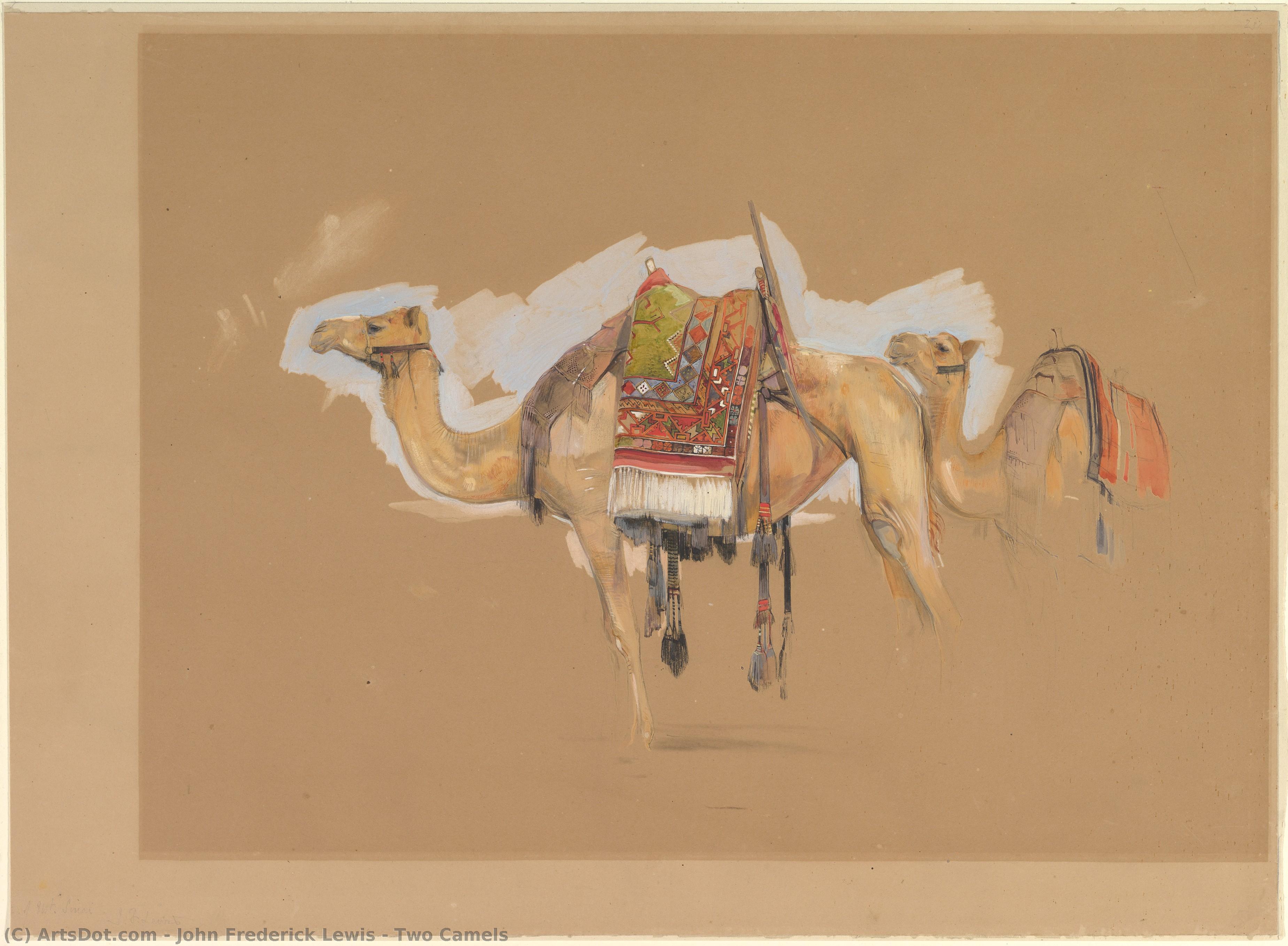  Art Reproductions Two Camels, 1843 by John Frederick Lewis (1804-1876, United Kingdom) | ArtsDot.com