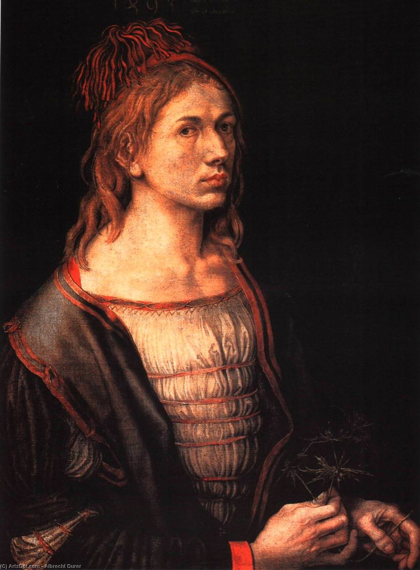 Wikioo.org - The Encyclopedia of Fine Arts - Painting, Artwork by Albrecht Durer - Self-portrait at 22