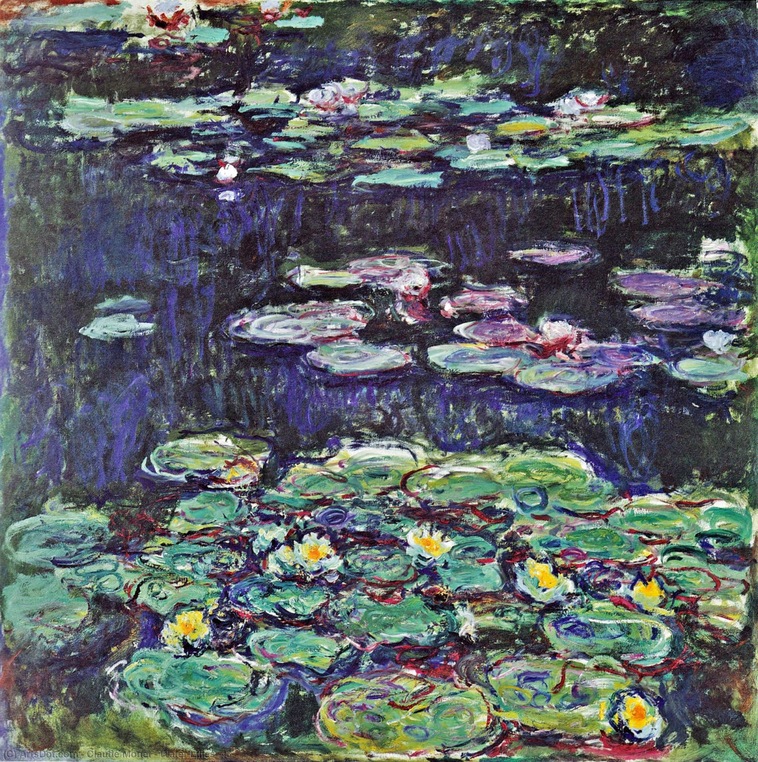 Wikioo.org - The Encyclopedia of Fine Arts - Painting, Artwork by Claude Monet - Water Lilies (43)