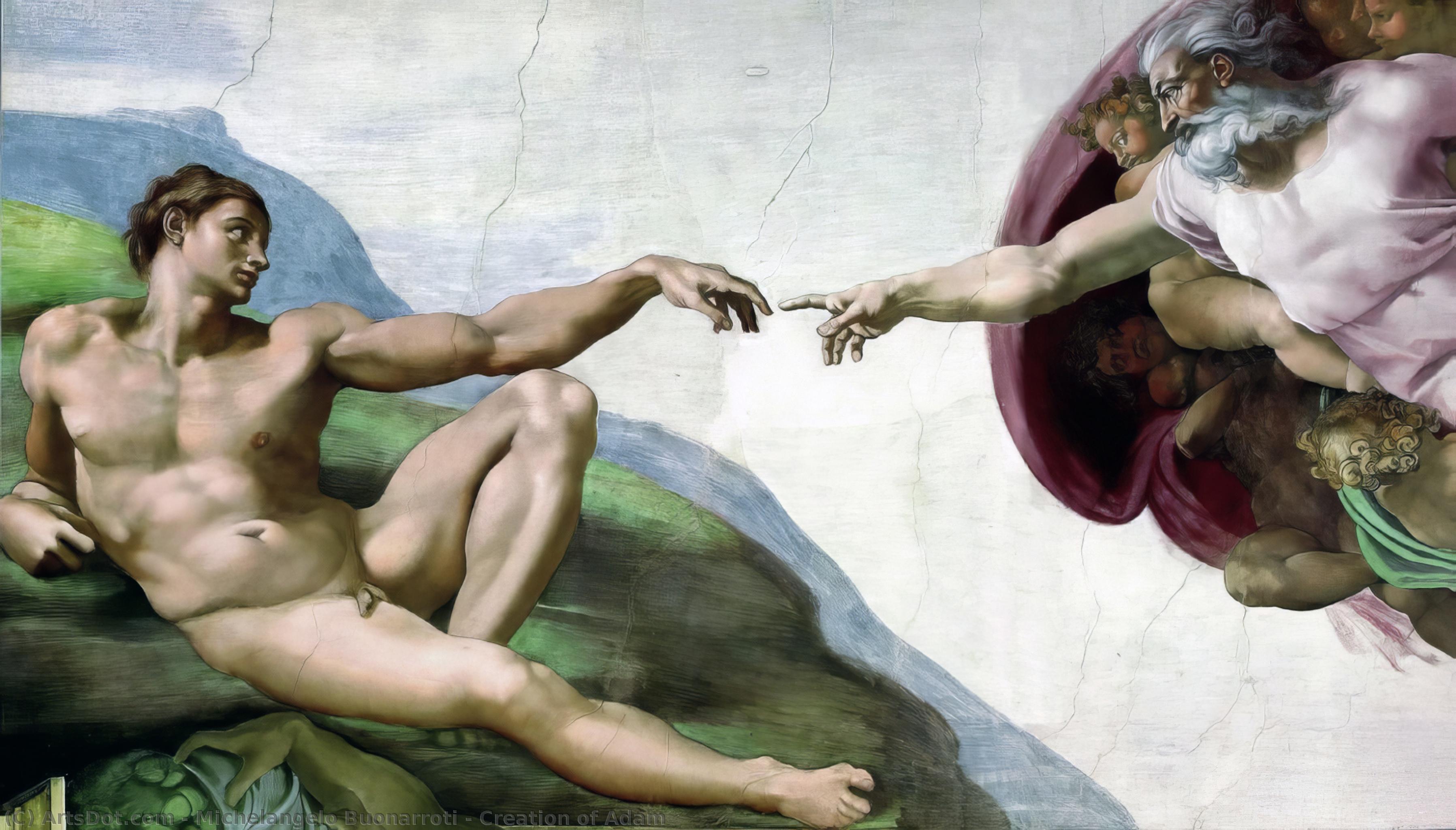 Wikioo.org - The Encyclopedia of Fine Arts - Painting, Artwork by Michelangelo Buonarroti - Creation of Adam