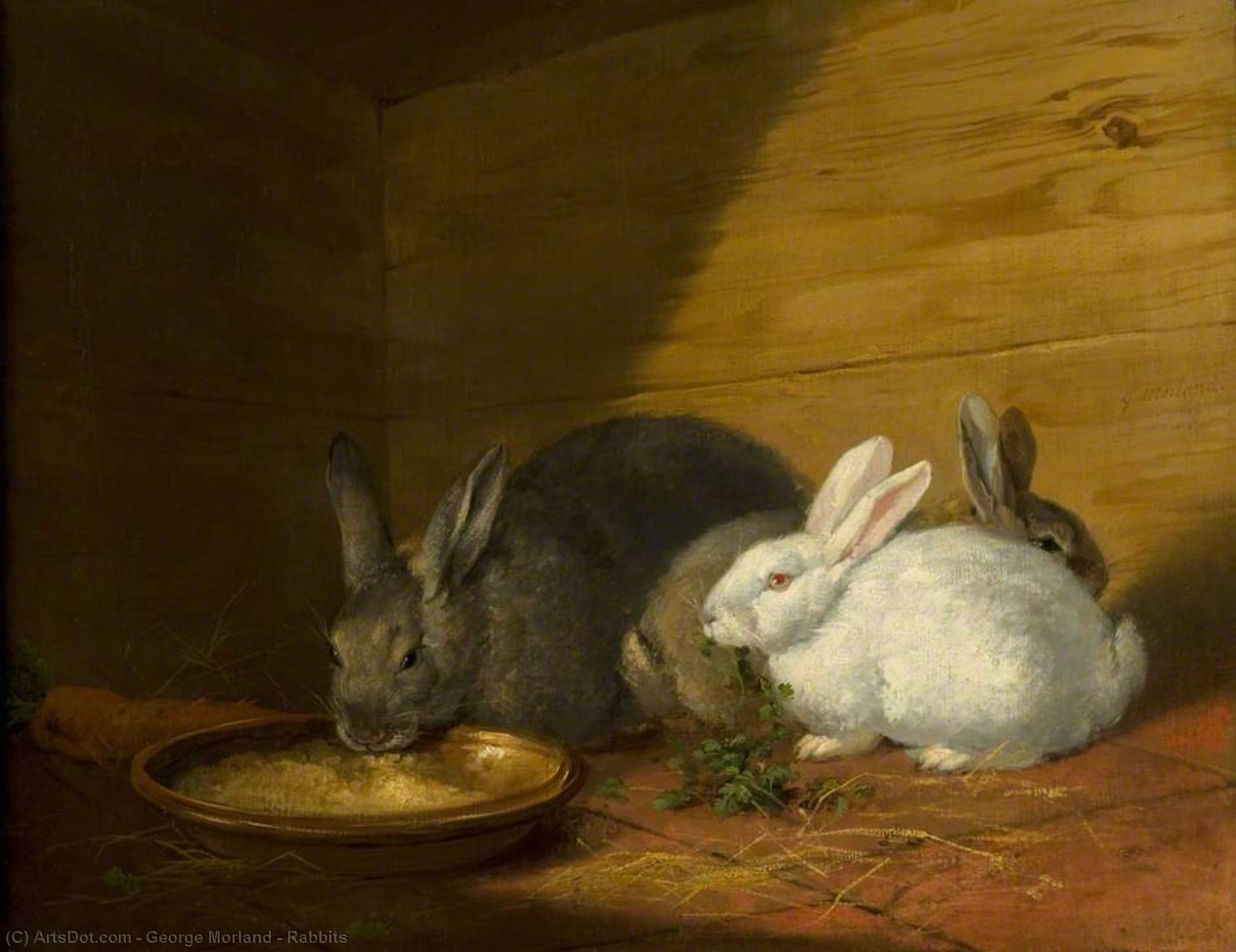Зайцы кролики живопись