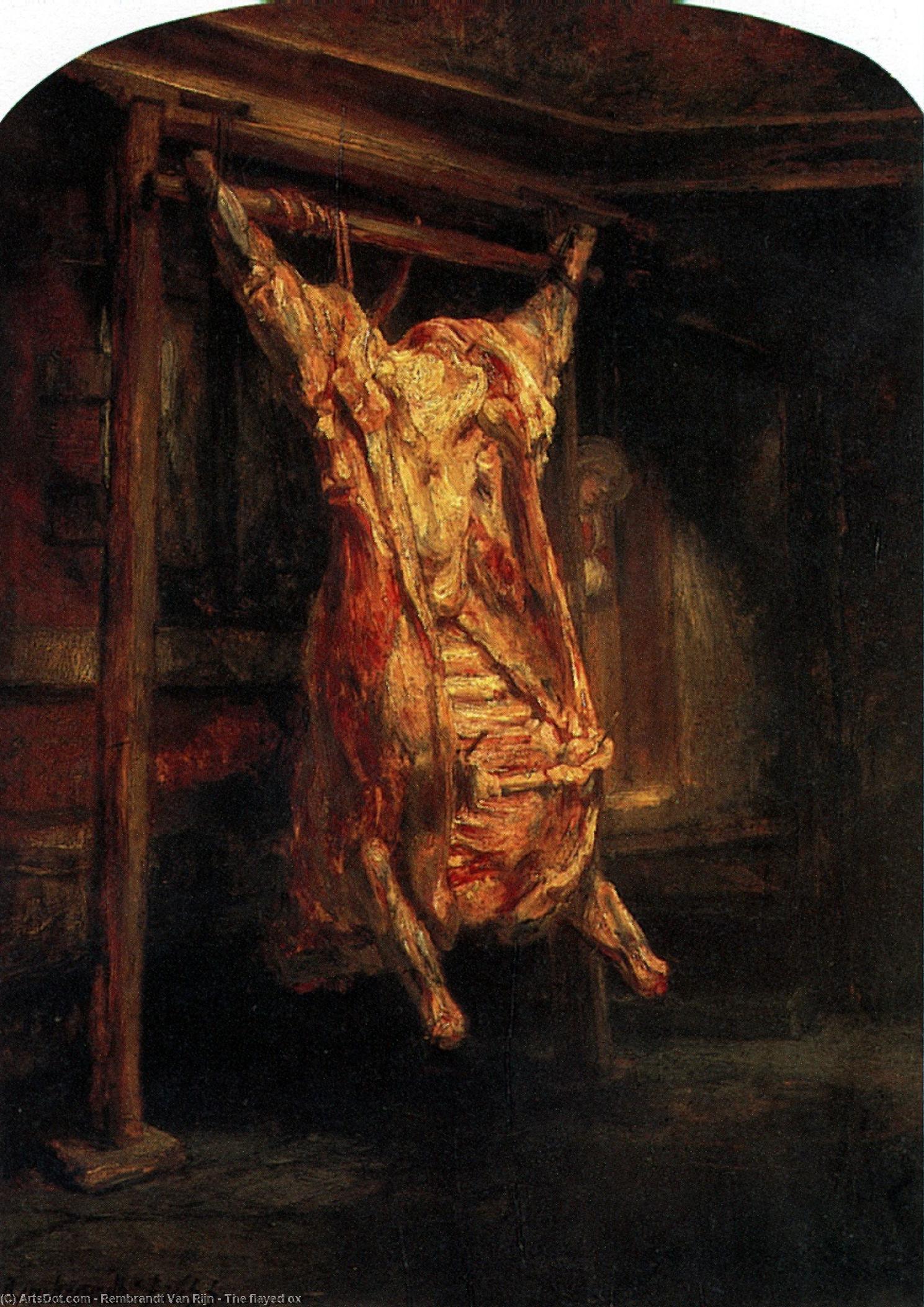 Wikioo.org - The Encyclopedia of Fine Arts - Painting, Artwork by Rembrandt Van Rijn - The flayed ox