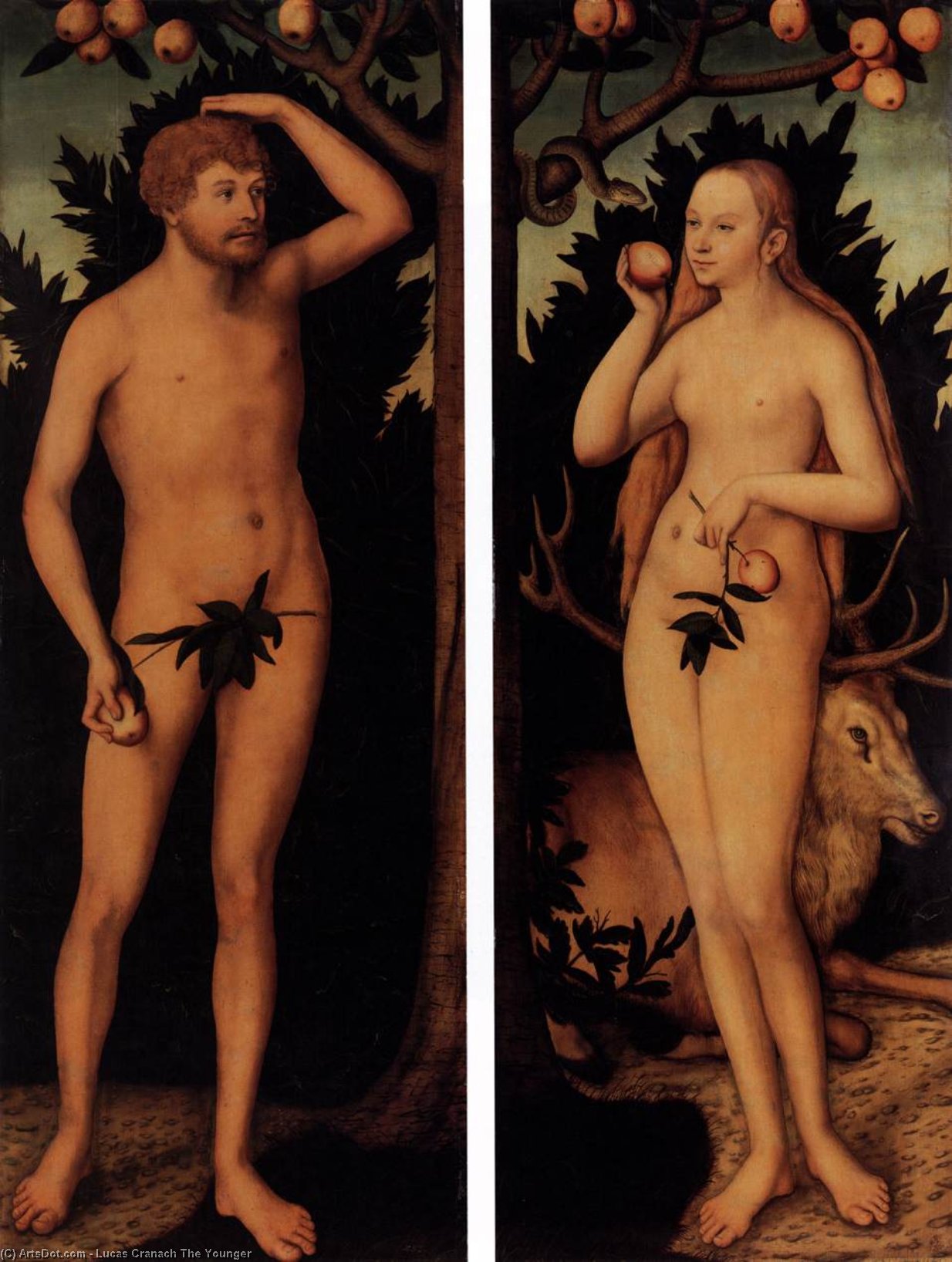 Wikioo.org - The Encyclopedia of Fine Arts - Painting, Artwork by Lucas Cranach The Younger - Adam and Eve