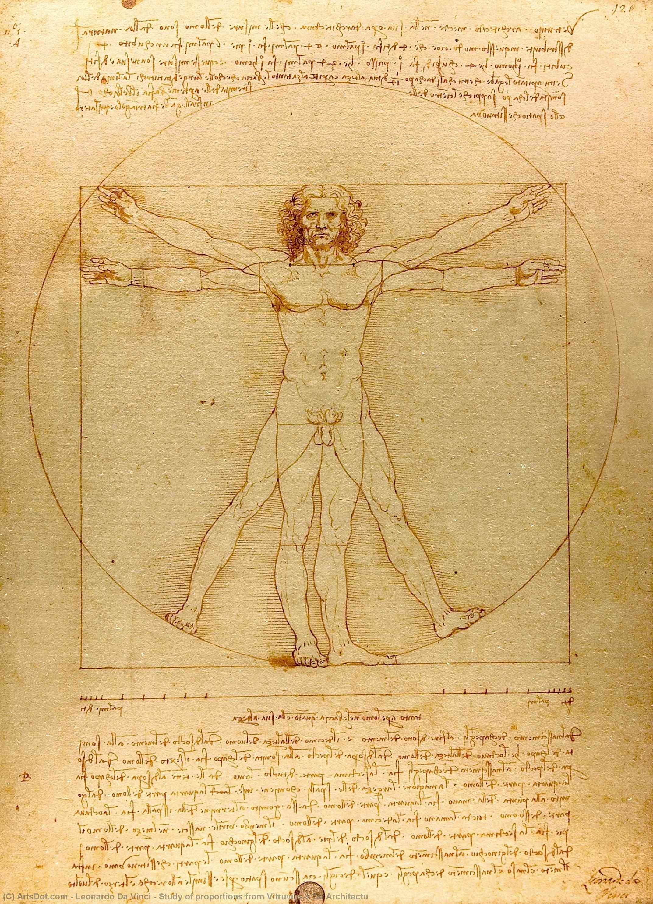 Wikioo.org - The Encyclopedia of Fine Arts - Painting, Artwork by Leonardo Da Vinci - Study of proportions from Vitruvius's De Architectu