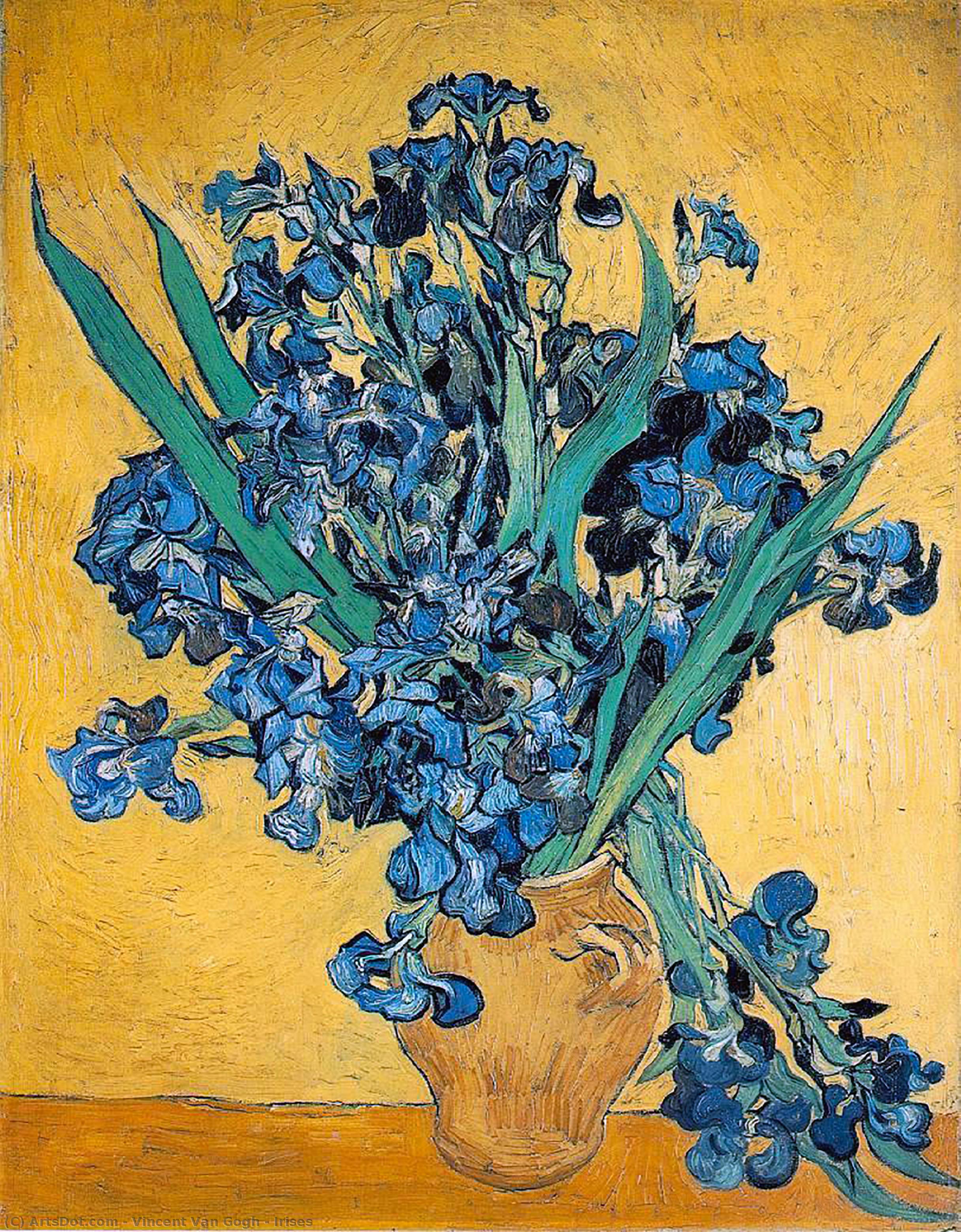 Wikioo.org - The Encyclopedia of Fine Arts - Painting, Artwork by Vincent Van Gogh - Irises