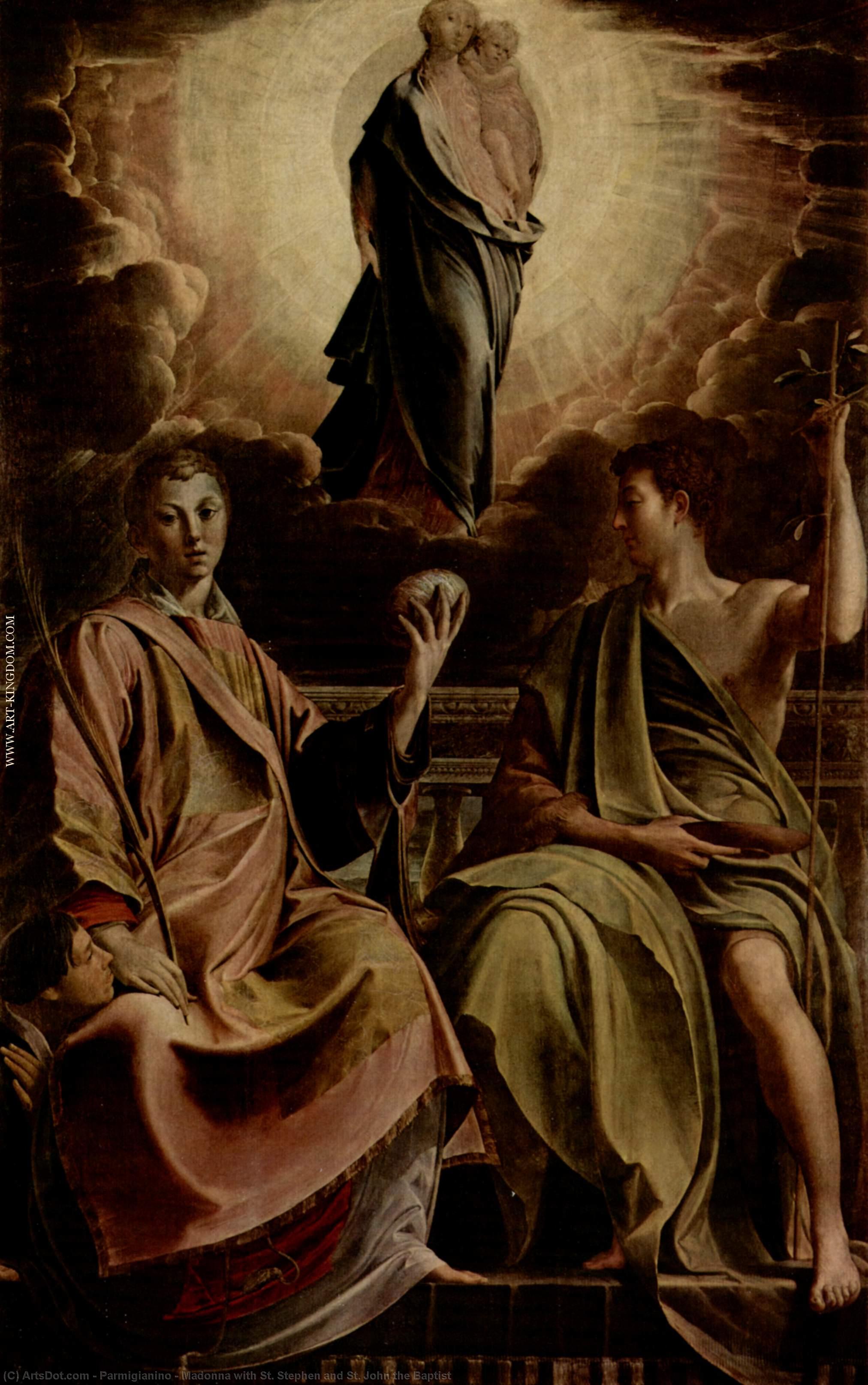 Wikioo.org - The Encyclopedia of Fine Arts - Painting, Artwork by Parmigianino - Madonna with St. Stephen and St. John the Baptist