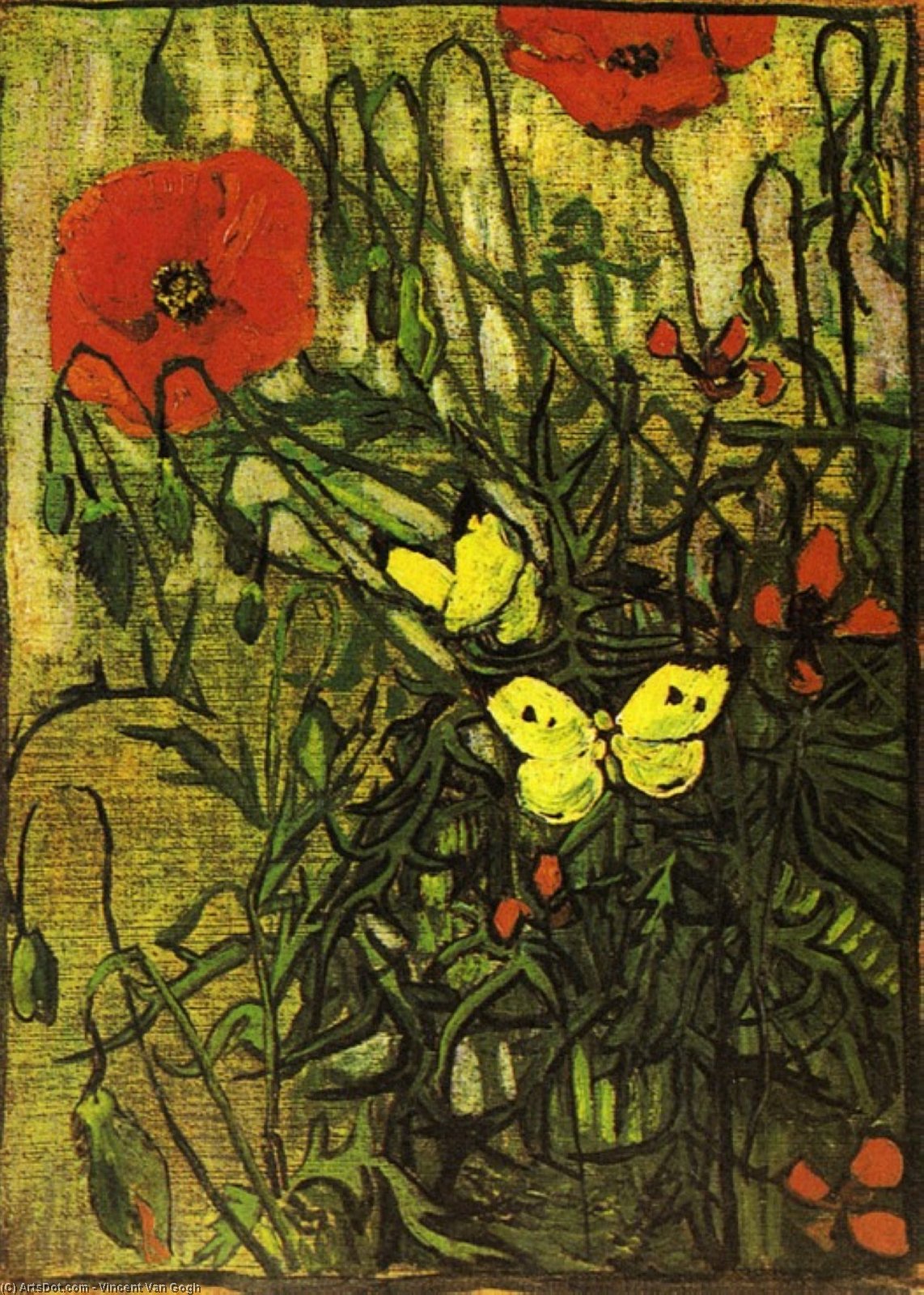 Wikioo.org - The Encyclopedia of Fine Arts - Painting, Artwork by Vincent Van Gogh - Poppies and Butterflies