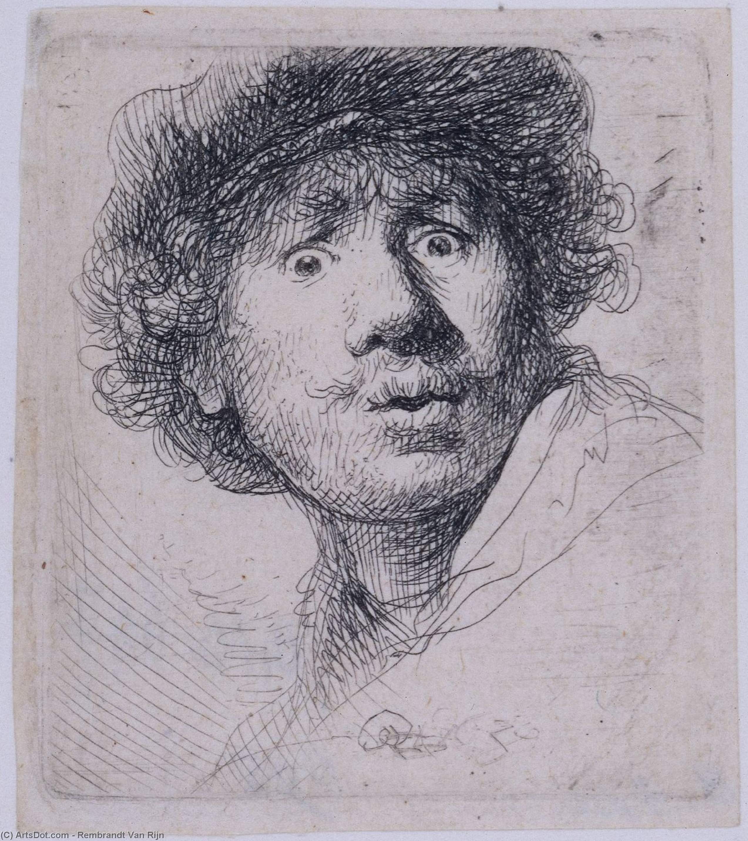 Wikioo.org - The Encyclopedia of Fine Arts - Painting, Artwork by Rembrandt Van Rijn - Self Portrait with a Cap, openmouthed