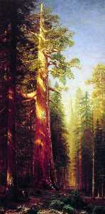 Albert Bierstadt - The Great Trees, Mariposa Grove, California