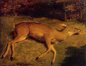 muerto ciervos