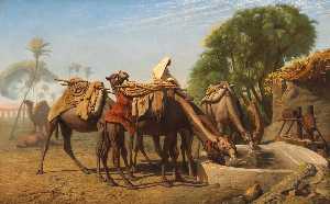 Camels at a Watering Trough