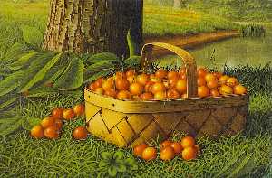 Cherries in a Basket