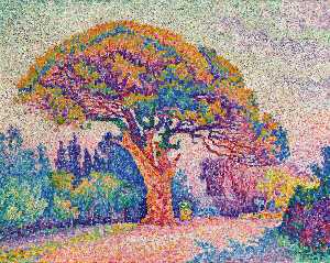 Paul Signac - The Pine Tree at St. Tropez - (buy famous paintings)