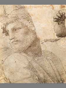 Raphael (Raffaello Sanzio Da Urbino) - Study for the Head of a Poet