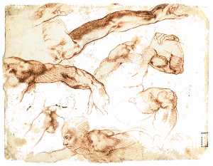 Michelangelo Buonarroti - Various Studies of Figures and Limbs (verso)
