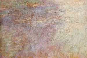 Water-Lillies 池塘 ( 左 半 )