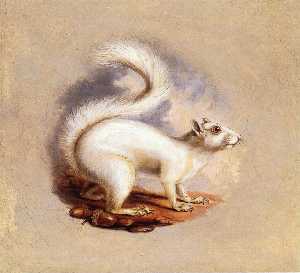 WikiOO.org – 美術百科全書 - 藝術家，畫家 Titian Ramsey Peale Ii