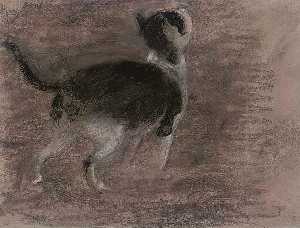 Edward William Stott - Black And White Cat