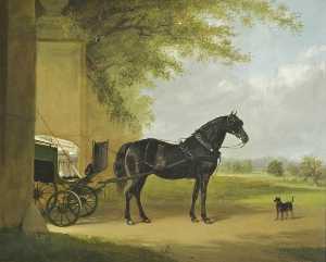 Lady Katherine Molyneux's Pony Carriage