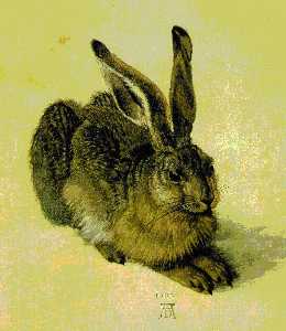 A YOUNG HARE,1502, WATER COLOUR,Graphische Sammlung Al