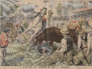 Bullfight incident at Arles