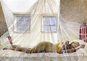 Andrew Wyeth - Day Dream