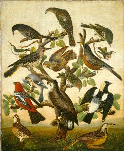Winslow Homer - Birds