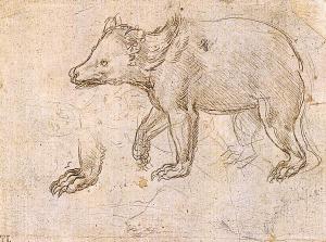 Leonardo Da Vinci - Study of a Bear Walking