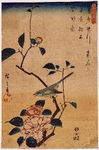 Ando Hiroshige - Camellia and Bush Warbler