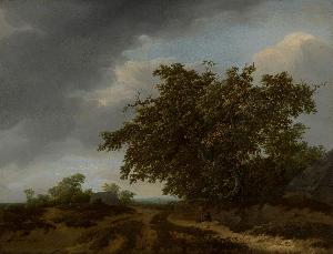 Vermeer Van Haarlem, Jan
