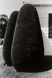 Henry Wessel Jr.
