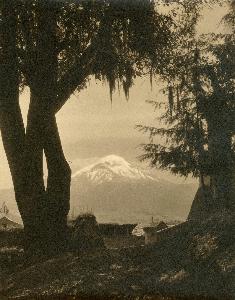 Hugo Brehme
