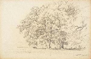 Randall David Johnson