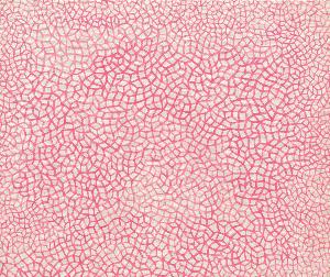 Yayoi Kusama - INFINITY NETS (H10)