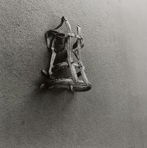 Wikioo.org - The Encyclopedia of Fine Arts - Artist, Painter  Graciela Iturbide