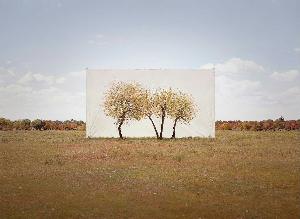 Myoung Ho Lee