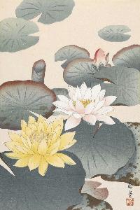 Hirohito - Water Lilies