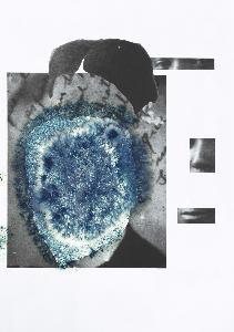 Wikioo.org - The Encyclopedia of Fine Arts - Artist, Painter  Juliana Paula Gomes Dos Santos