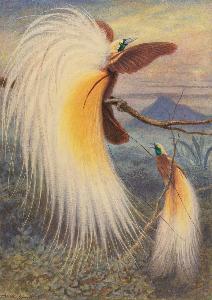 Thomas William Wood, Active 1855–1872