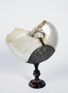 Danish Unknown Goldsmith - Nautilus shell