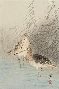 Ohara Koson