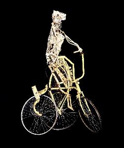 Charlie Lucas - Three-Way Bicycle