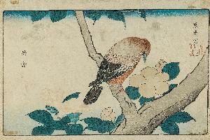 Kitao Shigemasa